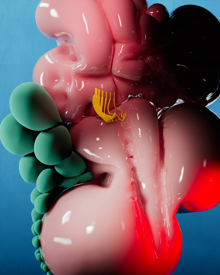 gallery-3 Vibrant 3D abstract artwork depicting organic shapes and vivid colors, illustrating modern digital art.